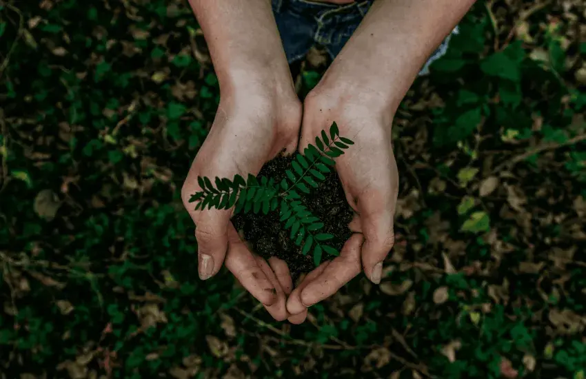 Sustainability Plan
