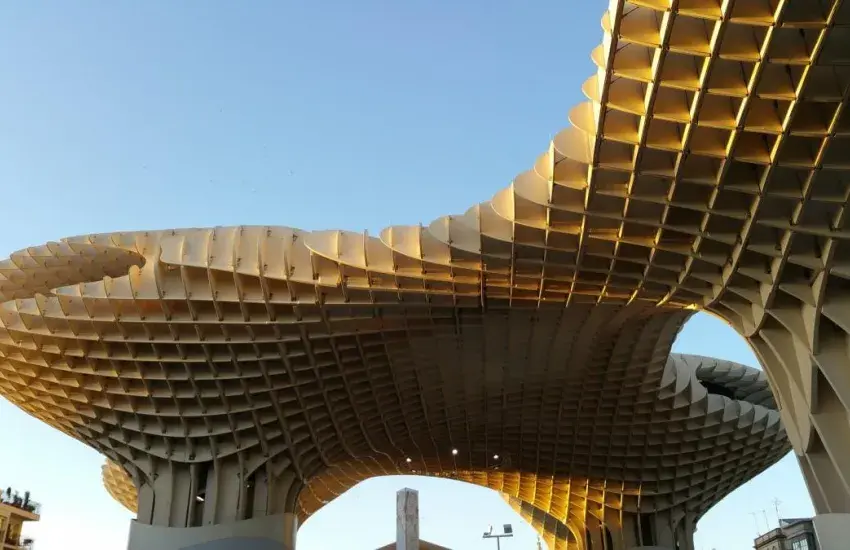 Mushrooms from Seville